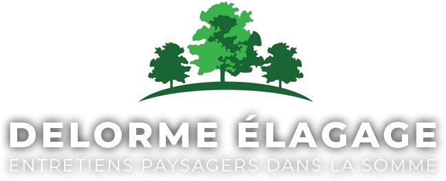 Logo DELORME ÉLAGAGE